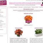 catalogue bouquets fleurs aquarelle