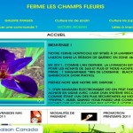 catalogue graines lys et iris champs fleuris