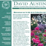 catalogue David Austin